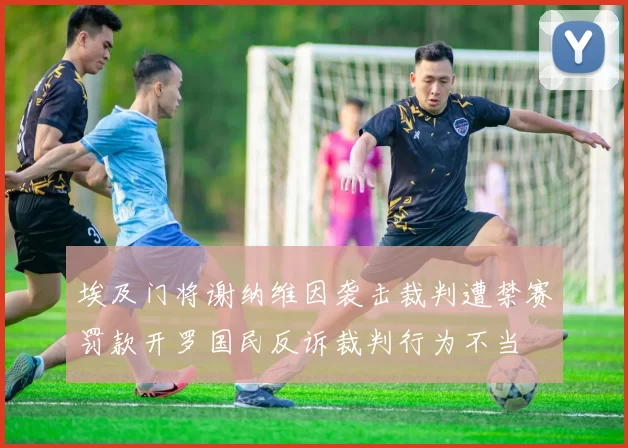 埃及门将谢纳维因袭击裁判遭禁赛罚款开罗国民反诉裁判行为不当