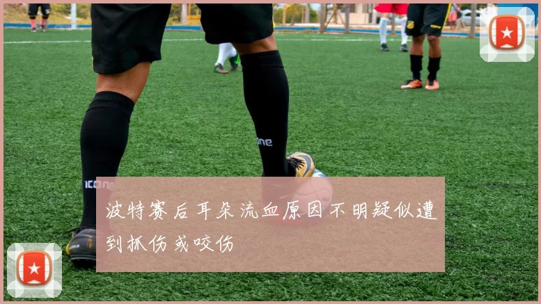 波特赛后耳朵流血原因不明疑似遭到抓伤或咬伤